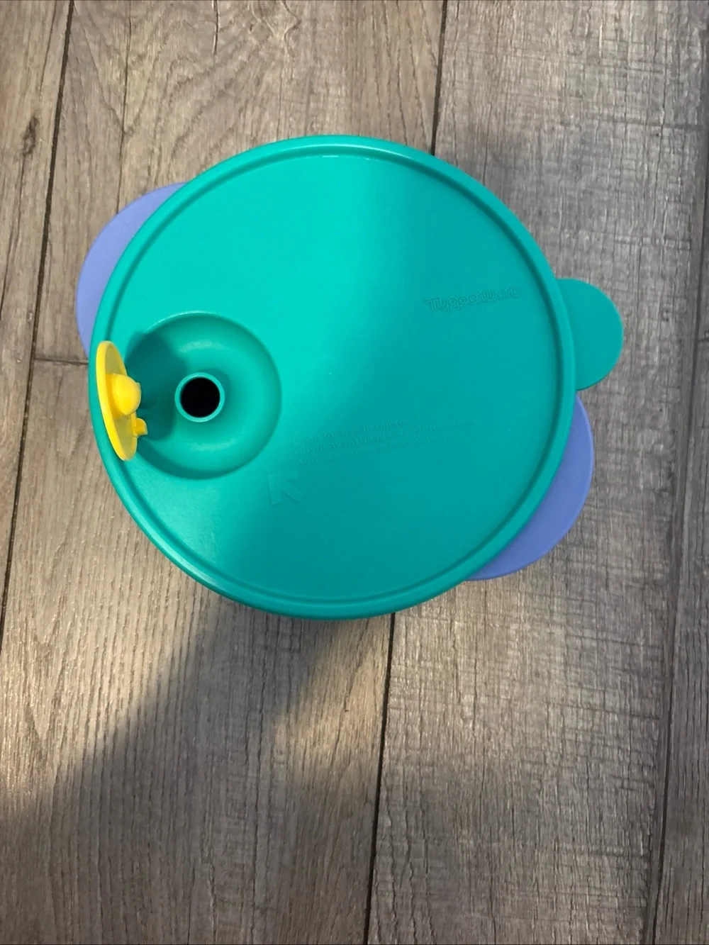 Tupperware Teal and Purple Container with Yellow Vent Three Compartments